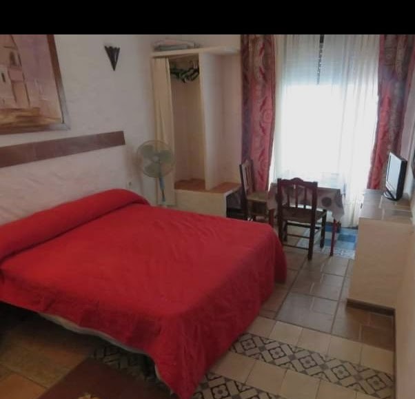 Salgai  estudioa  Cádiz